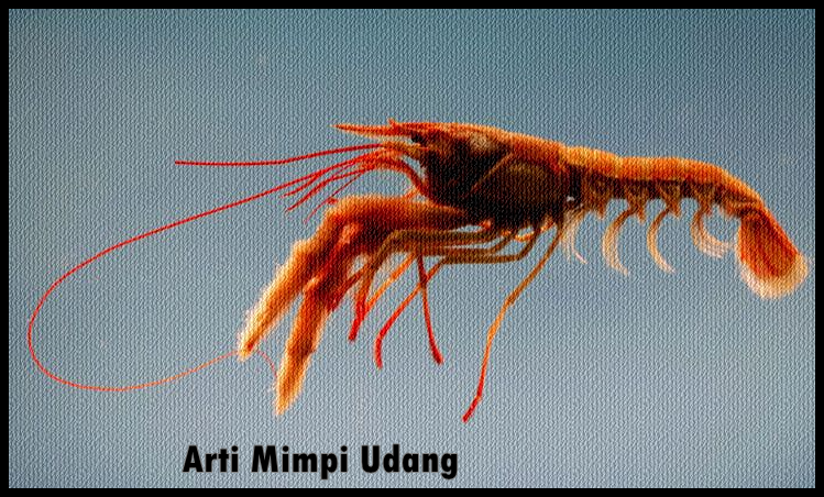 Shrimp Dream Meaning