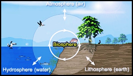 Fenomeni di a Biosfera