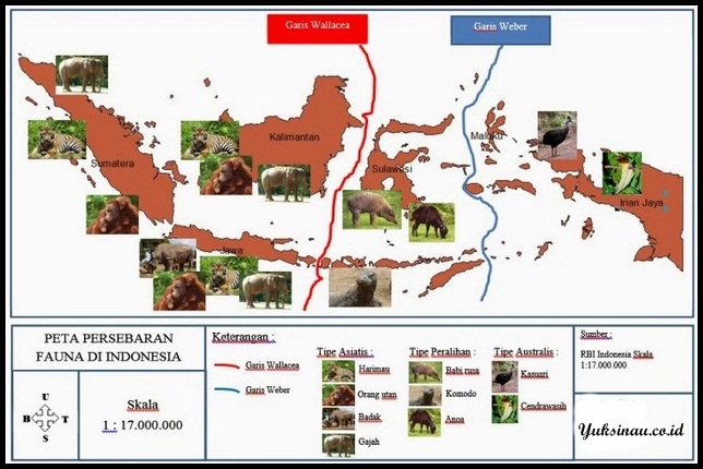 Carte de la répartition de la faune en Indonésie