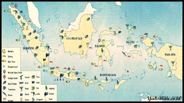 Carte de répartition de la flore en Indonésie