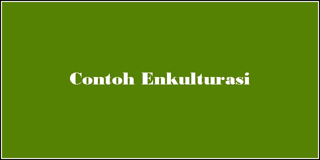 Enculturation Example