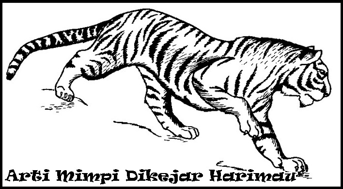 Signification du rêve d'être poursuivi par un tigre