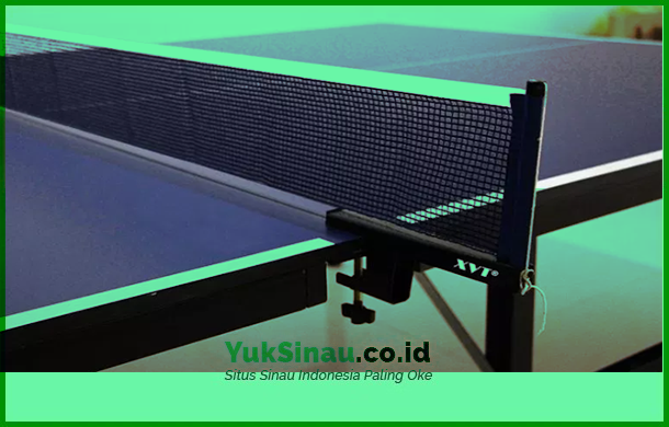 Table Tennis Net Shapes and Sizes