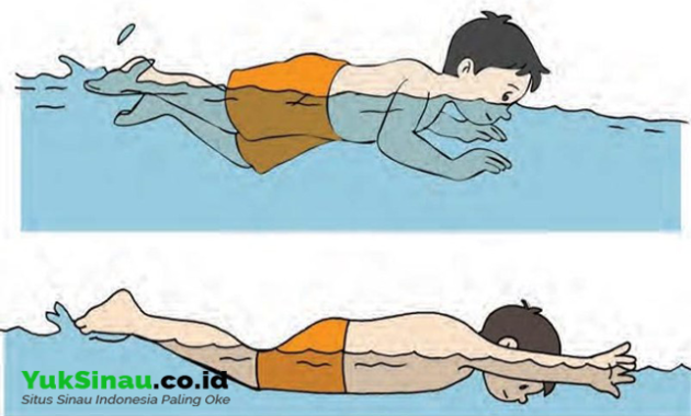 Basic Technique of Breaststroke Swimming