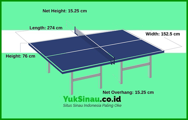 Court Size For Table Tennis